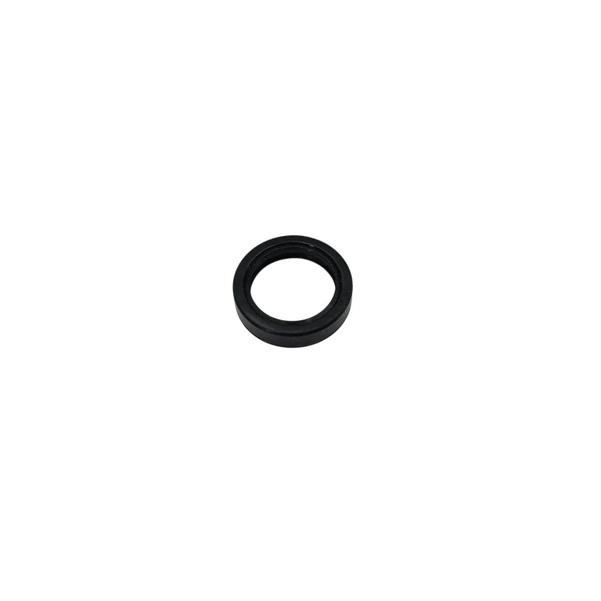NP241 Shift Shaft Seal